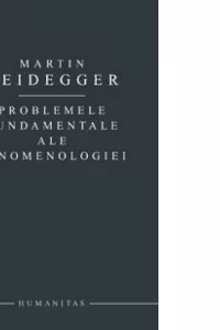 Problemele fundamentale ale fenomenologiei