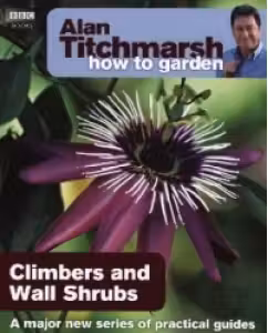 How To Garden - Climbers and Wall Shrubs