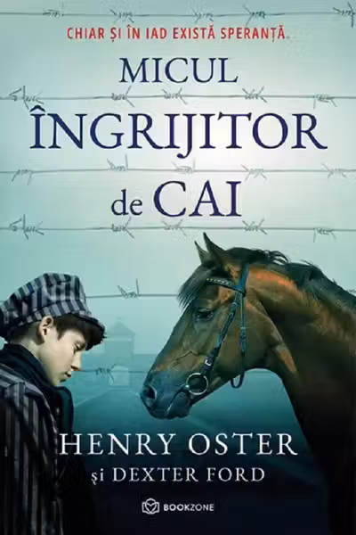 Micul ingrijitor de cai