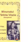 Minunatul Parinte Vitalie (Georgianul)- viata, nevointele, harismele