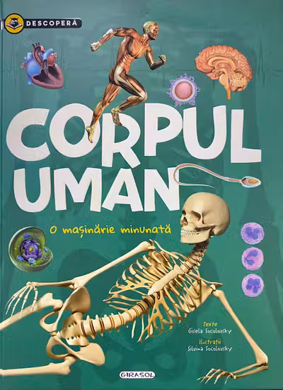 Corpul uman