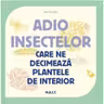 Adio insectelor care ne decimeaza plantele de interior