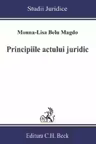 Principiile actului juridic