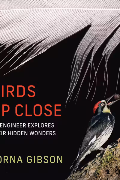 Birds Up Close