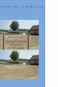 Tacerea Mieilor - Carte de artist