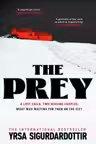 The Prey : the gripping international bestseller and Sunday Times Crime Book of the Year 2023