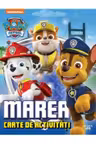 PAW Patrol. Marea carte de activitati