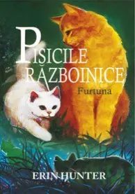 Furtuna