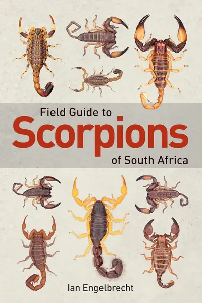 Field Guide to Scorpions of South Africa