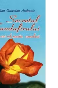 Secretul trandafirului 25 de ani sub mantie consulara