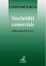 Societati comerciale. Solutii profesionale de la A la Z