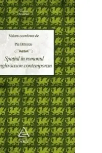 Spațiul în romanul anglo-saxon contemporan