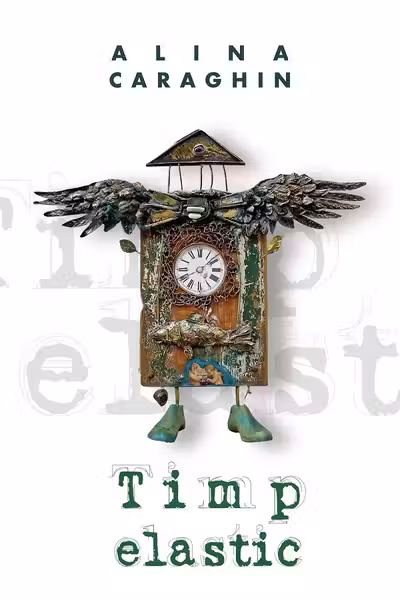 Timp elastic