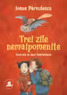 Trei zile nemaipomenite - Ioana Parvulescu