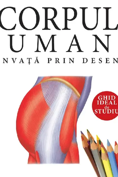 Corpul uman. Învață prin desen