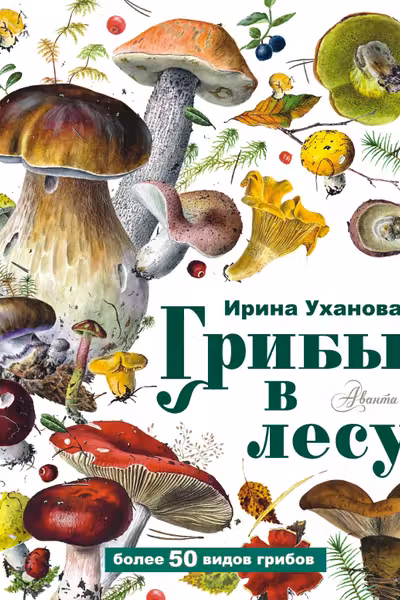 Грибы в лесу