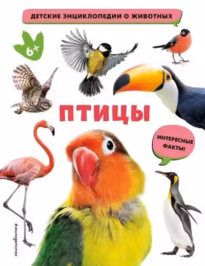 Птицы