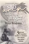 Sub aripi de inger