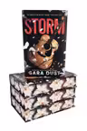 Storm - HARDCOVER - PRINTED EDGES - Precomandă