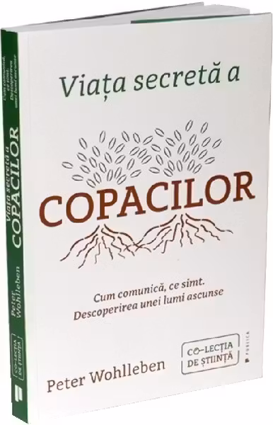 Viata secreta a copacilor