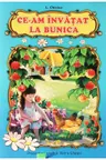 Ce-am invatat la bunica Cartonata