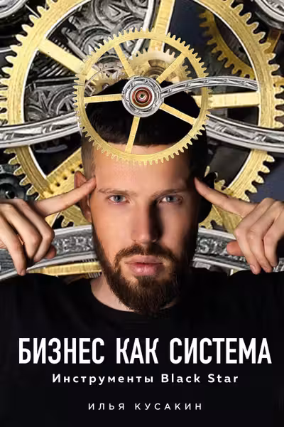 Бизнес как система. Инструменты Black Star