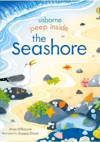 Peep Inside the Seashore