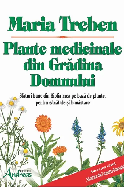 Plante medicinale din Gradina Domnului