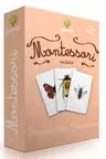Carti de joc Montessori - Insecte din Romania