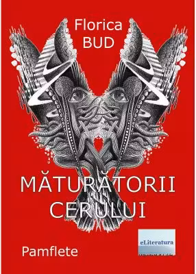 Măturătorii cerului