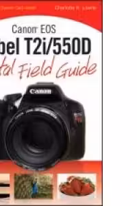 Canon EOS Rebel T2i/550D Digital Field Guide (Paperback)