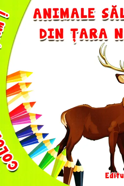 Coloram si invatam! Animale salbatice din tara noastra