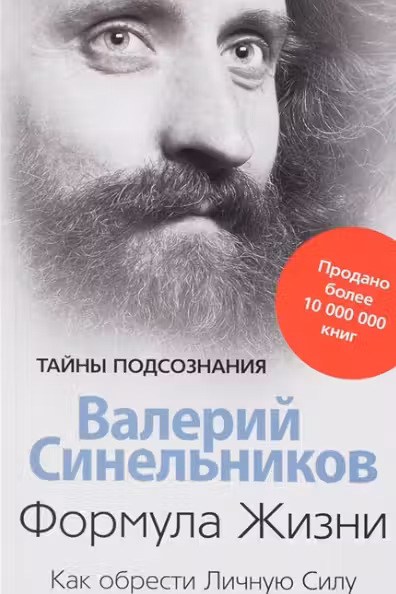 Формула жизни. Как обрести личную силу. Синельников