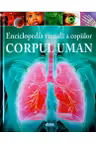 Corpul uman
