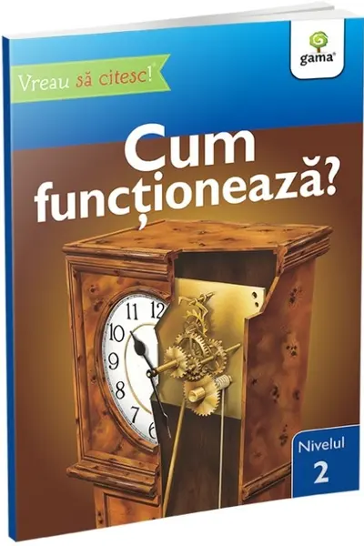 Cum functioneaza?