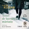 Astfel de lucruri mărunte (audiobook)