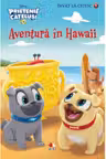 INVAT SA CITESC. PRIETENII CATELUSI. Aventura in Hawaii (nivelul 1)