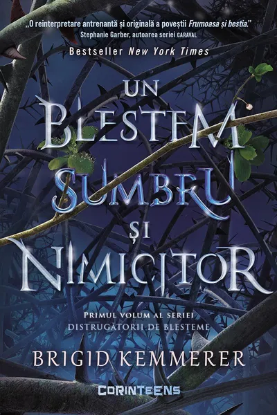 Un blestem sumbru si nimicitor (vol.1 din seria Distrugatorii de blesteme