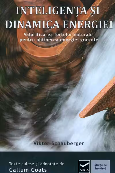 Inteligenta si dinamica energiei