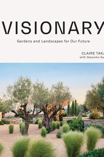Visionary