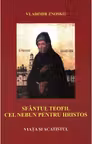 Sfantul Teofil cel nebun pentru Hristos. Viata si acatistul