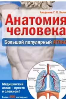 Анатомия человека: большой популярный атлас