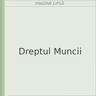 Dreptul Muncii