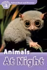 ORD 4: Animals at Night