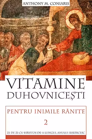 Vitamine duhovnicești pentru inimile rănite 2