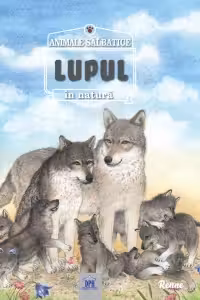 Animale salbatice in natura. Lupul