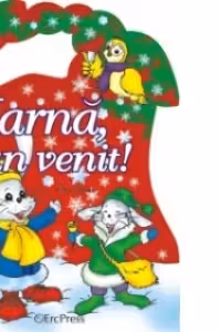 Iarna, bun venit !