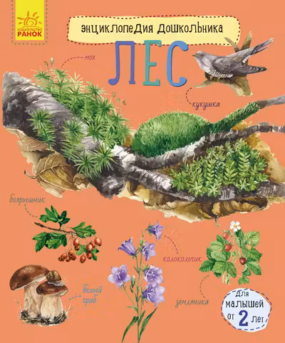 Энциклопедия дошкольника "Лес" (42)