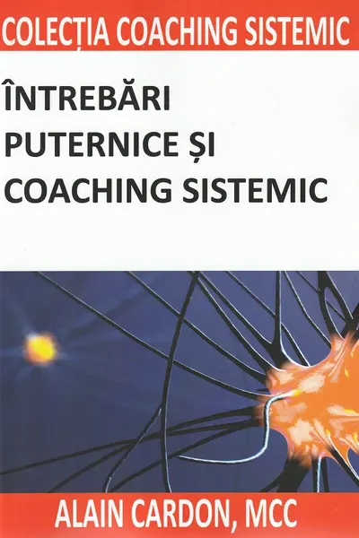 Întrebări puternice și coaching sistemic