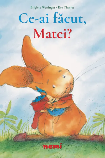 Ce-ai facut, Matei?